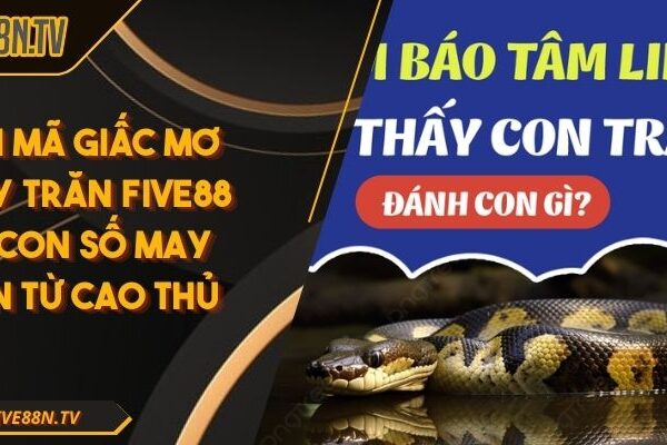 Giải Mã Giấc mơ thấy trăn Five88 Và Con Số May Mắn Từ Cao Thủ