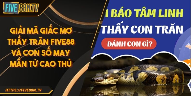 Giải Mã Giấc mơ thấy trăn Five88 Và Con Số May Mắn Từ Cao Thủ