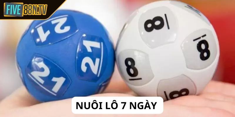 Giới thiệu chung về Nuôi lô 7 ngày Five88 